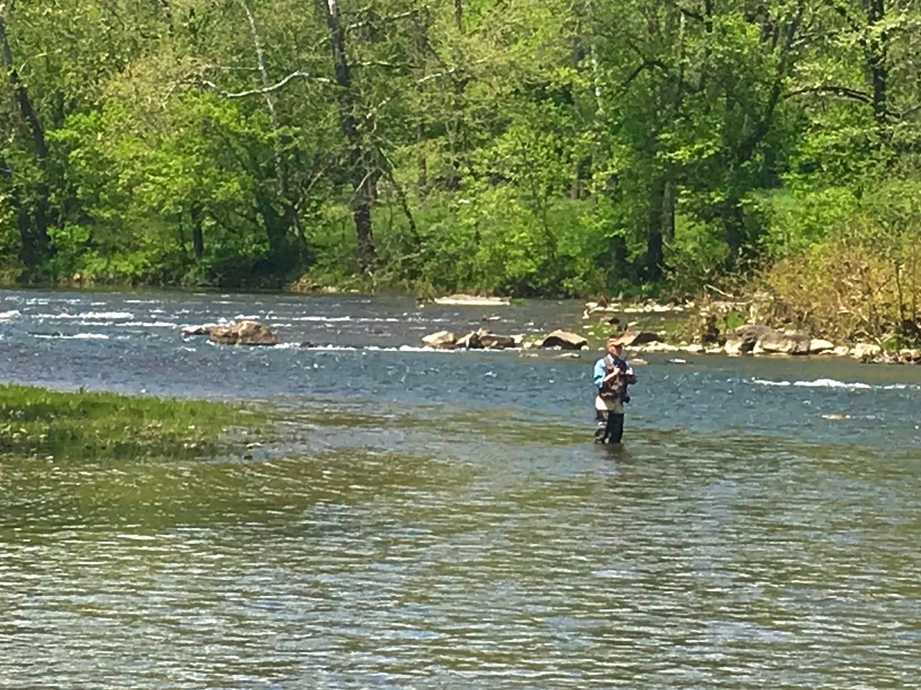 Fly fisherman casting on a river